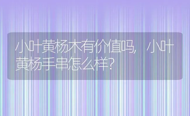 小叶黄杨木有价值吗,小叶黄杨手串怎么样？ | 养殖常见问题