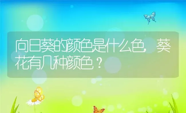 向日葵的颜色是什么色,葵花有几种颜色？ | 养殖常见问题