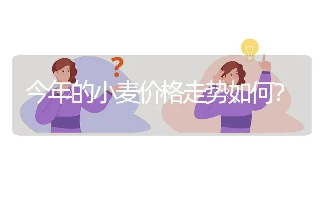 今年的小麦价格走势如何? | 养殖问题解答