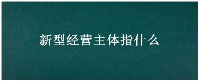 新型经营主体指什么 | 科普知识