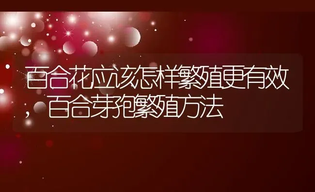 漳州水仙花怎么养,关于水仙花的科普知识50字简写？ | 养殖常见问题