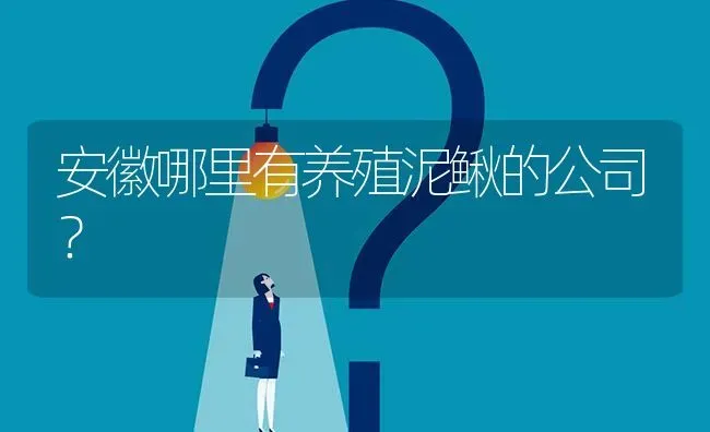 安徽哪里有养殖泥鳅的公司? | 养殖问题解答