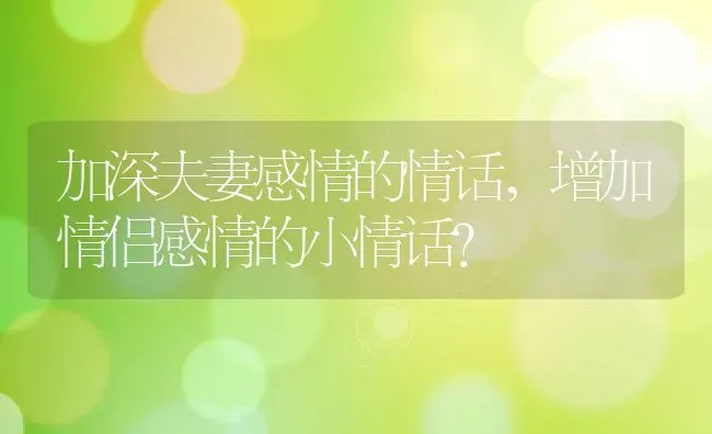 加深夫妻感情的情话,增加情侣感情的小情话？ | 养殖常见问题