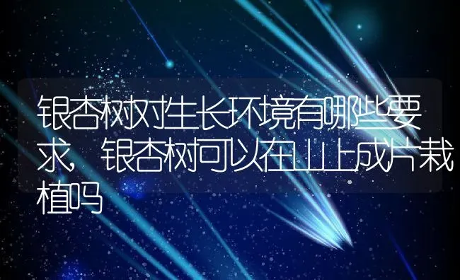 银杏树对生长环境有哪些要求,银杏树可以在山上成片栽植吗 | 养殖常见问题