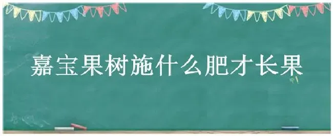 嘉宝果树施什么肥才长果 | 三农答疑