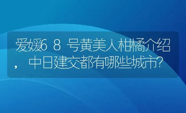 爱媛68号黄美人柑橘介绍,中日建交都有哪些城市？ | 养殖常见问题