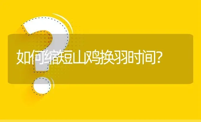 如何缩短山鸡换羽时间? | 养殖问题解答