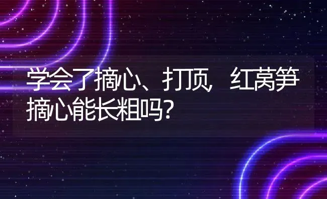 学会了摘心、打顶,红莴笋摘心能长粗吗？ | 养殖常见问题