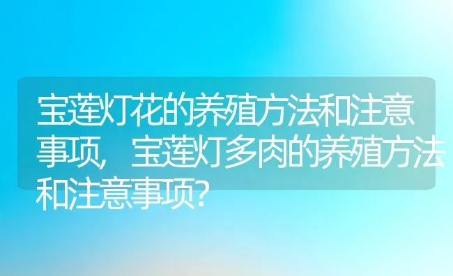 宝莲灯花的养殖方法和注意事项,宝莲灯多肉的养殖方法和注意事项？ | 养殖常见问题