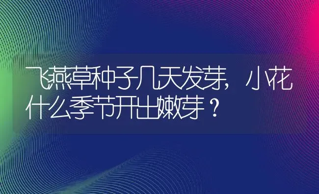 飞燕草种子几天发芽,小花什么季节开出嫩芽？ | 养殖常见问题