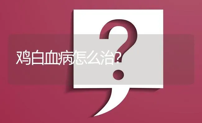 鸡白血病怎么治? | 养殖问题解答