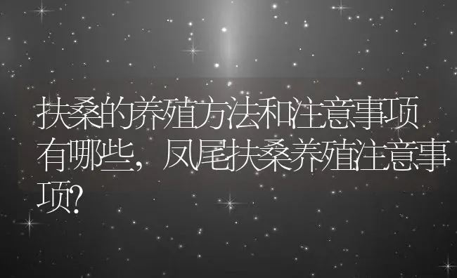 扶桑的养殖方法和注意事项有哪些,凤尾扶桑养殖注意事项？ | 养殖常见问题