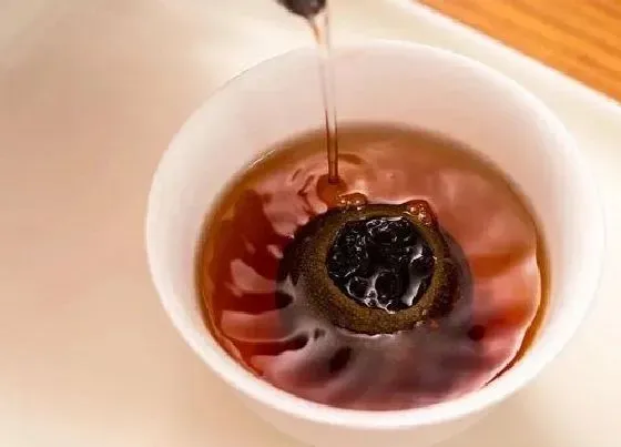 植物常识问题|小青柑属于什么茶类 新会小青柑怎么冲泡功效作用好