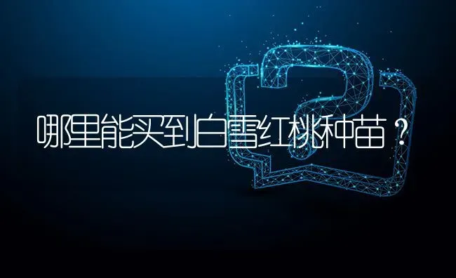 哪里能买到白雪红桃种苗? | 养殖问题解答