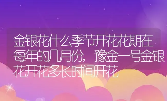 金银花什么季节开花花期在每年的几月份,豫金一号金银花开花多长时间开花 | 养殖常见问题