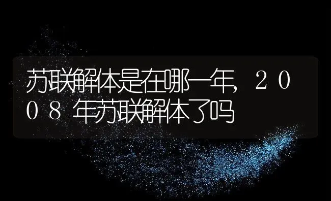 苏联解体是在哪一年,2008年苏联解体了吗 | 养殖常见问题