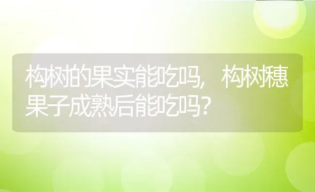 构树的果实能吃吗,构树穗果子成熟后能吃吗？ | 养殖常见问题