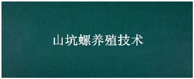 山坑螺养殖技术 | 农业常识