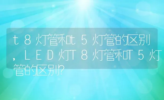 t8灯管和t5灯管的区别,LED灯T8灯管和T5灯管的区别？ | 养殖常见问题