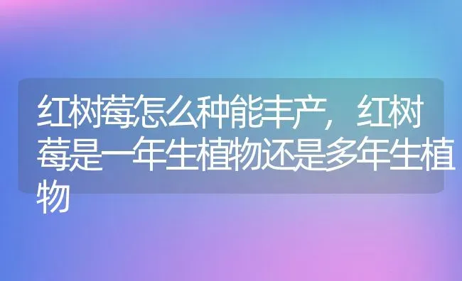 红树莓怎么种能丰产,红树莓是一年生植物还是多年生植物 | 养殖常见问题