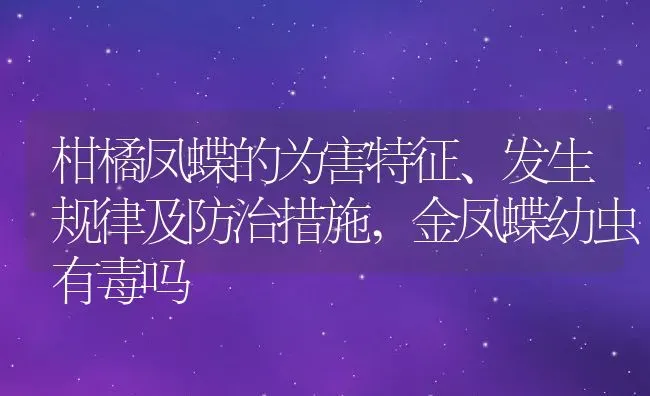 柑橘凤蝶的为害特征、发生规律及防治措施,金凤蝶幼虫有毒吗 | 养殖常见问题