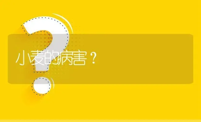 小麦的病害? | 养殖问题解答