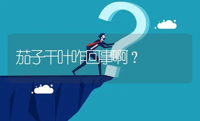 茄子干叶咋回事啊? | 养殖问题解答