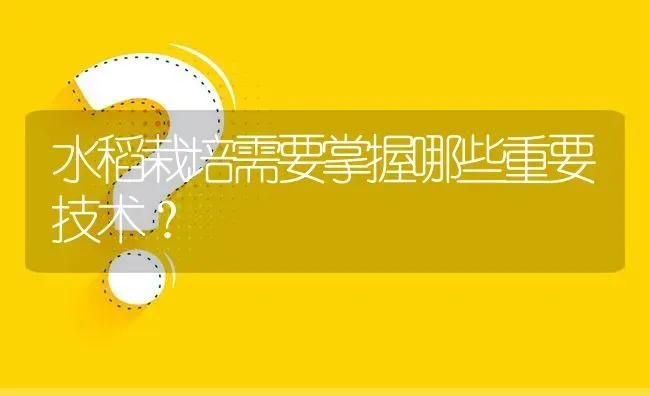 水稻栽培需要掌握哪些重要技术? | 养殖问题解答