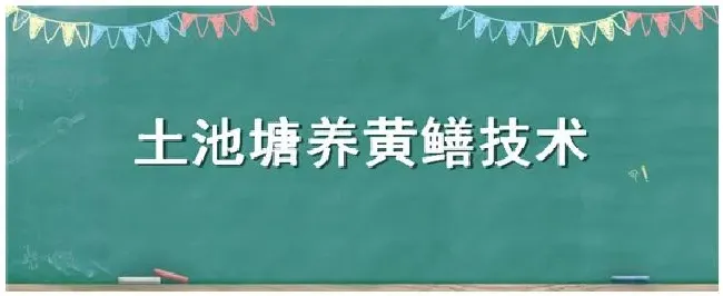 土池塘养黄鳝技术 | 生活常识