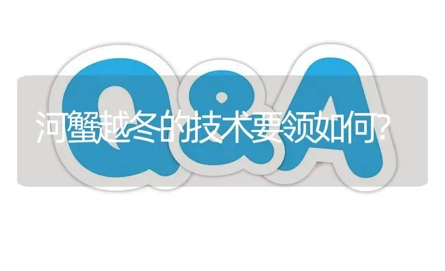 河蟹越冬的技术要领如何? | 养殖问题解答