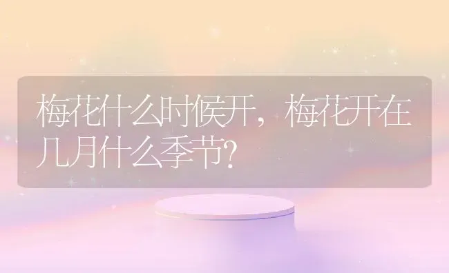 梅花什么时候开,梅花开在几月什么季节？ | 养殖常见问题