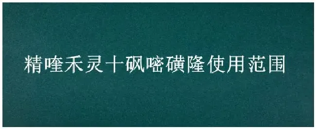 精喹禾灵十砜嘧磺隆使用范围 | 农业常识