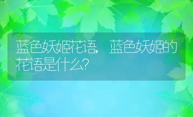 蓝色妖姬花语,蓝色妖姬的花语是什么？ | 养殖常见问题