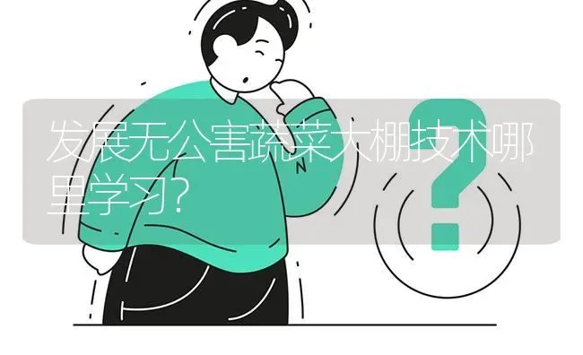 发展无公害蔬菜大棚技术哪里学习? | 养殖问题解答