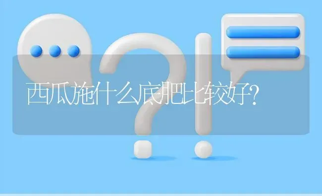 西瓜施什么底肥比较好? | 养殖问题解答