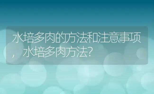 水培多肉的方法和注意事项,水培多肉方法？ | 养殖常见问题