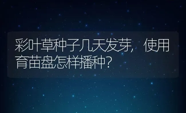 彩叶草种子几天发芽,使用育苗盘怎样播种？ | 养殖常见问题