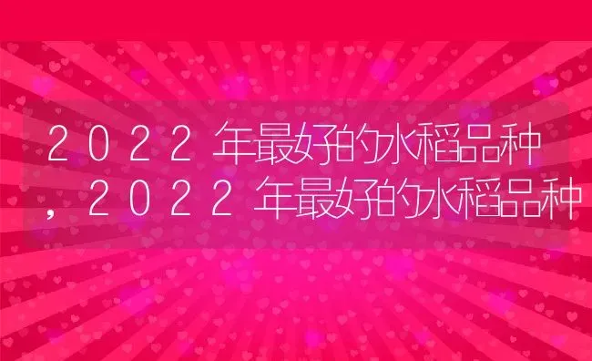 2022年最好的水稻品种,2022年最好的水稻品种 | 养殖常见问题