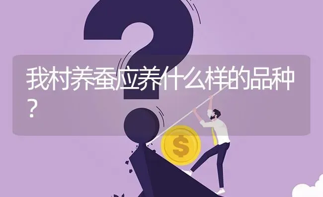 我村养蚕应养什么样的品种? | 养殖问题解答