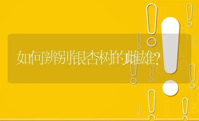 如何辨别银杏树的雌雄? | 养殖问题解答