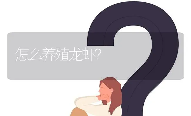 怎么养殖龙虾? | 养殖问题解答