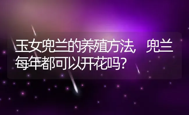 玉女兜兰的养殖方法,兜兰每年都可以开花吗？ | 养殖常见问题