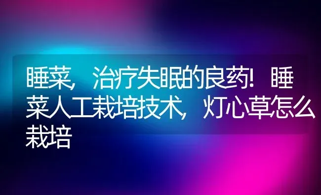 睡菜,治疗失眠的良药!睡菜人工栽培技术,灯心草怎么栽培 | 养殖常见问题