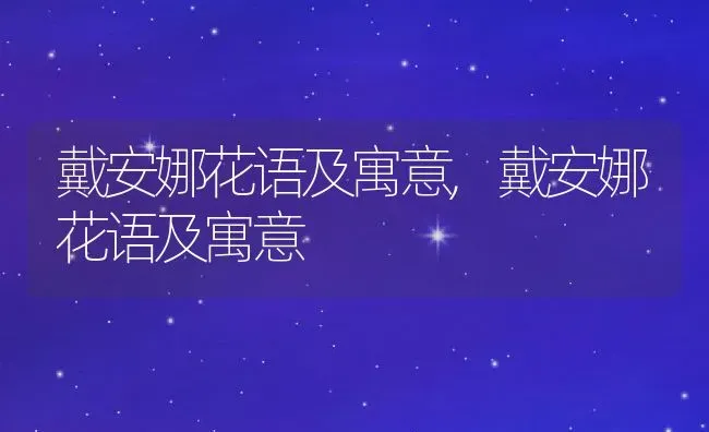 戴安娜花语及寓意,戴安娜花语及寓意 | 养殖常见问题