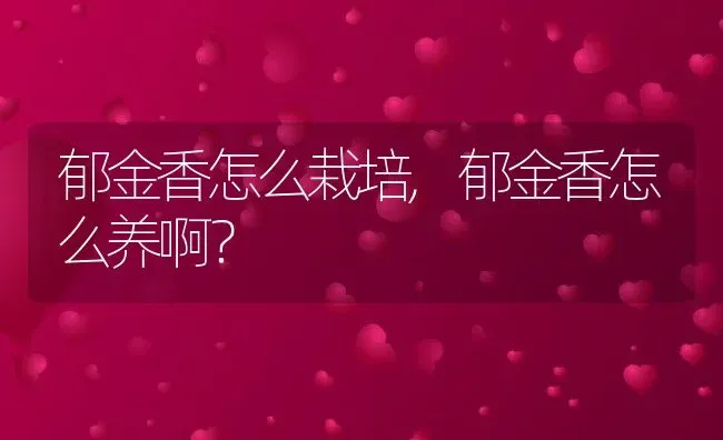 郁金香怎么栽培,郁金香怎么养啊？ | 养殖常见问题