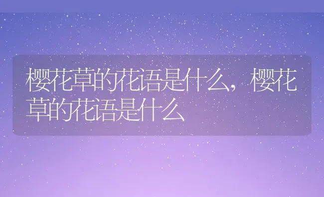 樱花草的花语是什么,樱花草的花语是什么 | 养殖常见问题