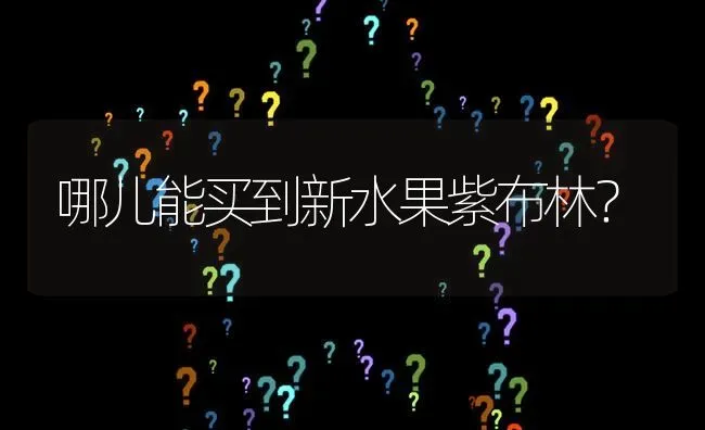 哪儿能买到新水果紫布林? | 养殖问题解答
