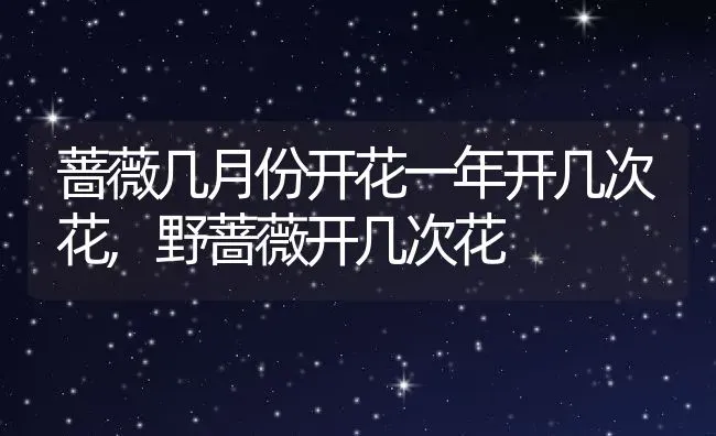 蔷薇几月份开花一年开几次花,野蔷薇开几次花 | 养殖常见问题