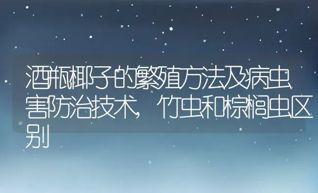 酒瓶椰子的繁殖方法及病虫害防治技术,竹虫和棕榈虫区别 | 养殖常见问题