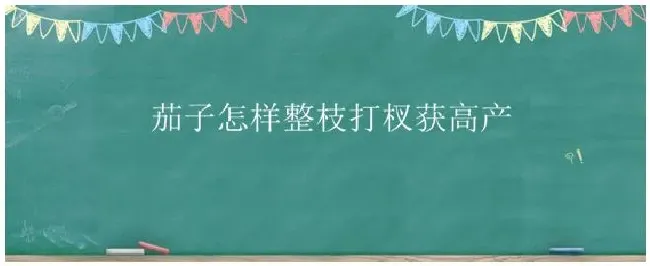 茄子怎样整枝打杈获高产 | 生活常识